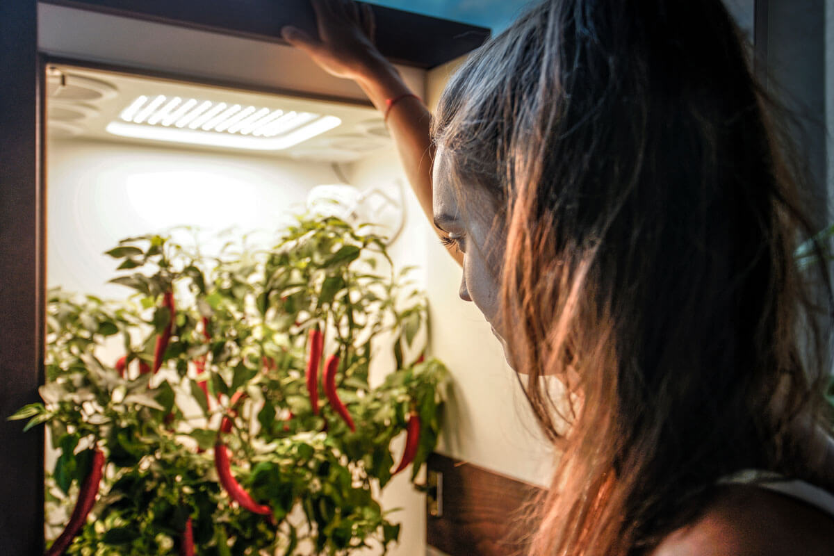 premium grow box inside grow cabinet