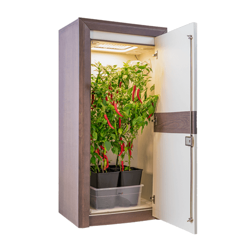 Growbox Growschrank urban Chili 3_0 classic schräg offen 500x500