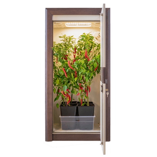 Growbox Spezifikationen urban Chili 3_0 classic front offen