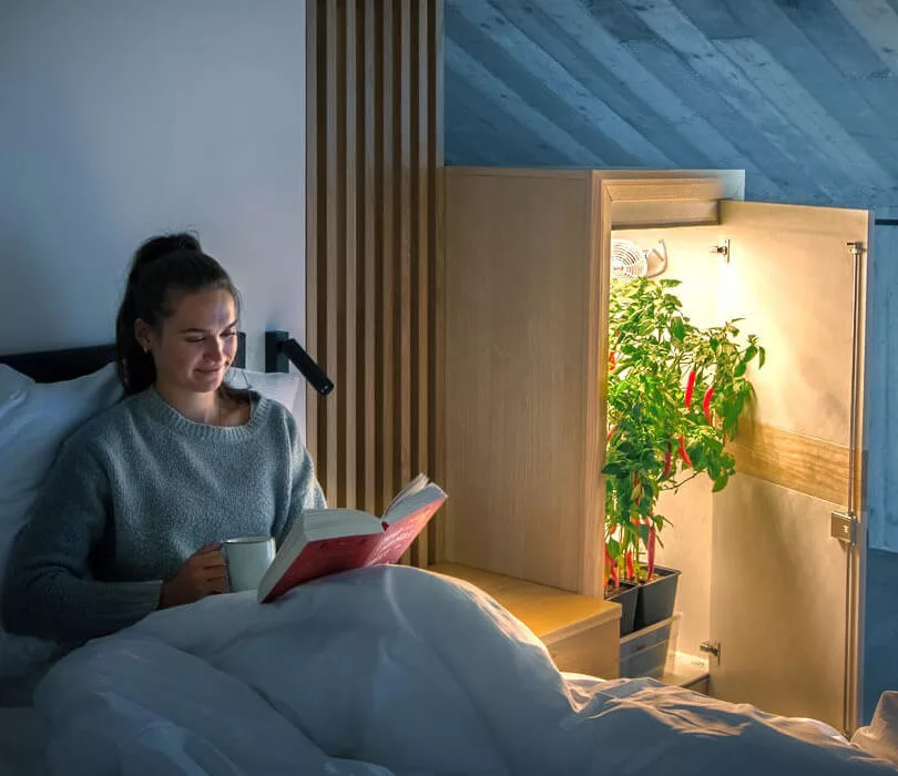 Schlafzimmer Premium Growschrank - Growbox Komplettset urban Chili